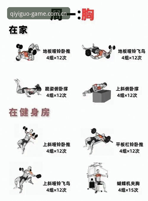 奇异果体育入口 奇异果体育入口使用指南:5个新手必知的操作技巧与3大功能解析
